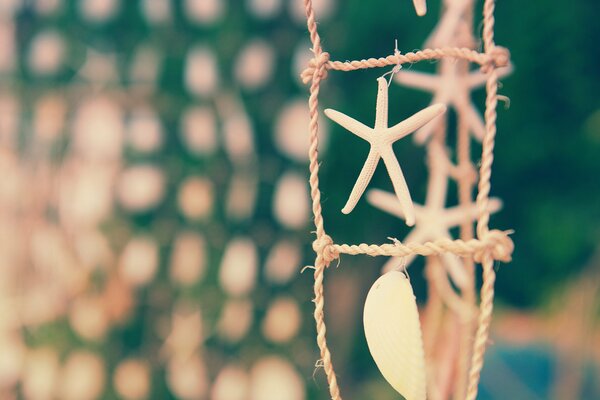 Muschelschmuck am Meer