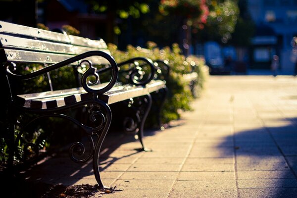 Elegant bench with wrought iron handrails against the background of washed bushes