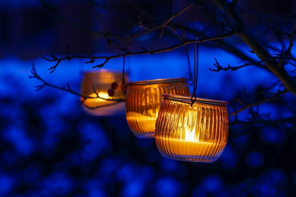 Three saechka lanterns are hanging on a branch