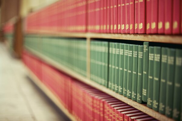 Huge bookshelves in the library