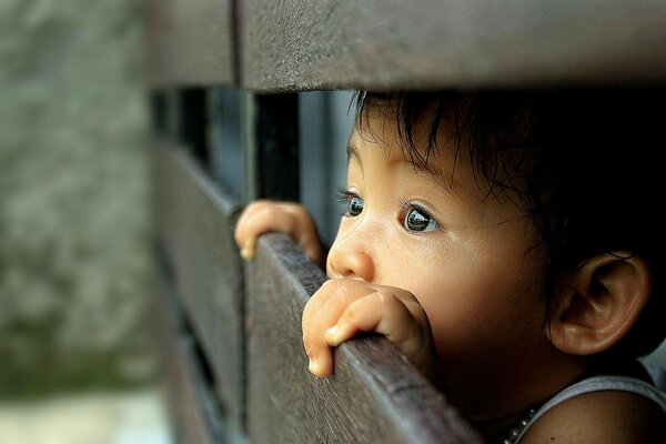 Sguardo sorpreso del bambino attraverso la recinzione