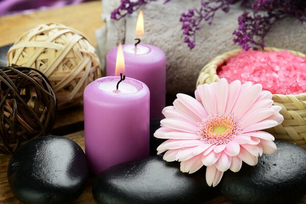 Sea salt, stones, candles and a flower