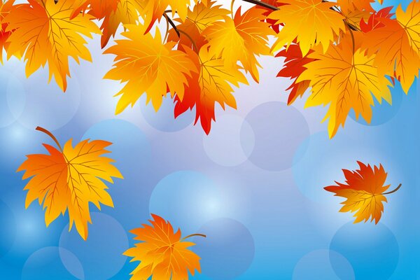 Autumn leaves on a blue sky background