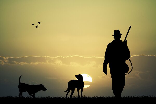 Cacciatore con cani e fucile da caccia sullo sfondo del tramonto