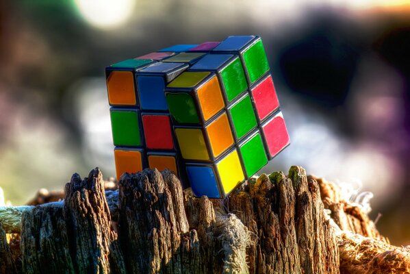 Cubo di Rubik su una ripresa macro di canapa