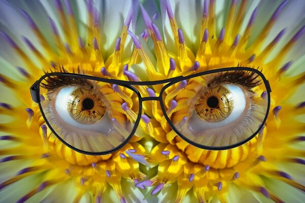 Glasses in a black frame with transparent glasses. Eyes. Yellow flowers. Zrachek dial