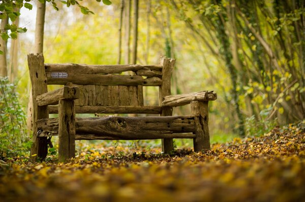 Vecchio negozio sullo sfondo della foresta autunnale