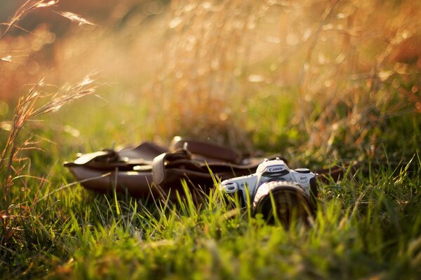 Appareil photo kenon avec sac dans l herbe verte