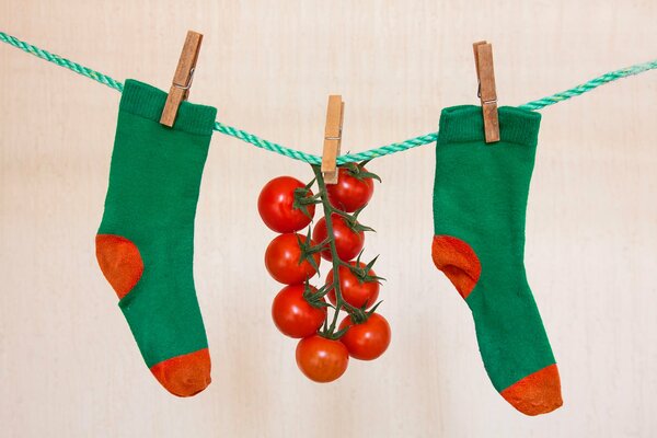 Wiegen Sie getrocknete Socken mit Tomaten