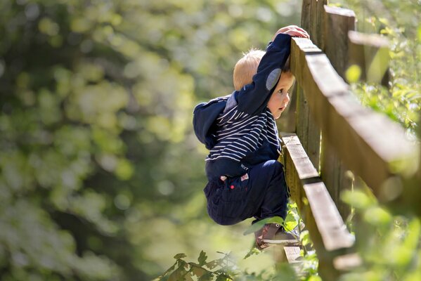 A little boy climbed the fence