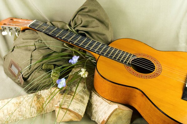 Still life of a guitar with flowers and logs