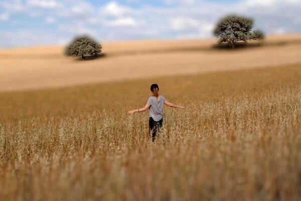 A girl in a wheat field against a blue sky