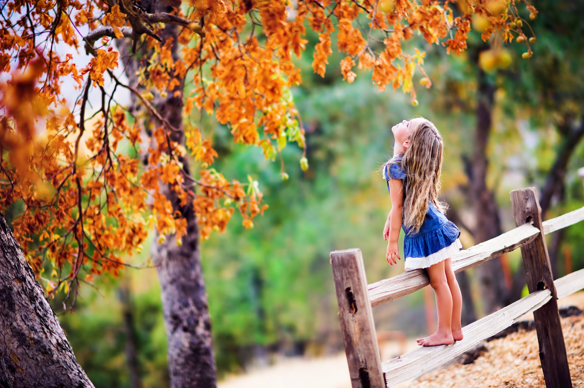 girl fence tree foliage