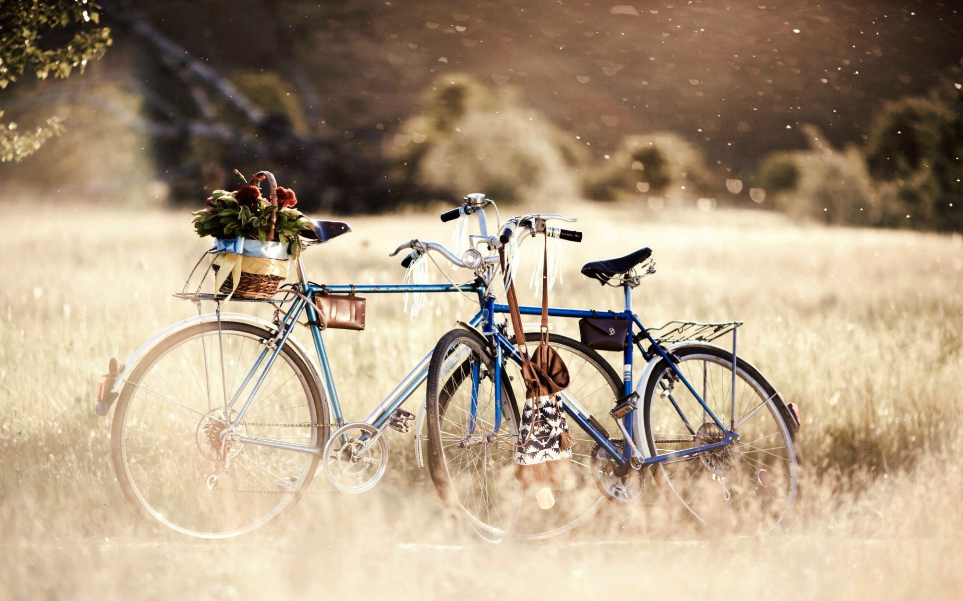 varie umore bicicletta grande biciclette cestino fiori fiori ruote piante natura erba verde giorno bokeh alberi sfocatura sfondo carta da parati widescreen schermo intero widescreen