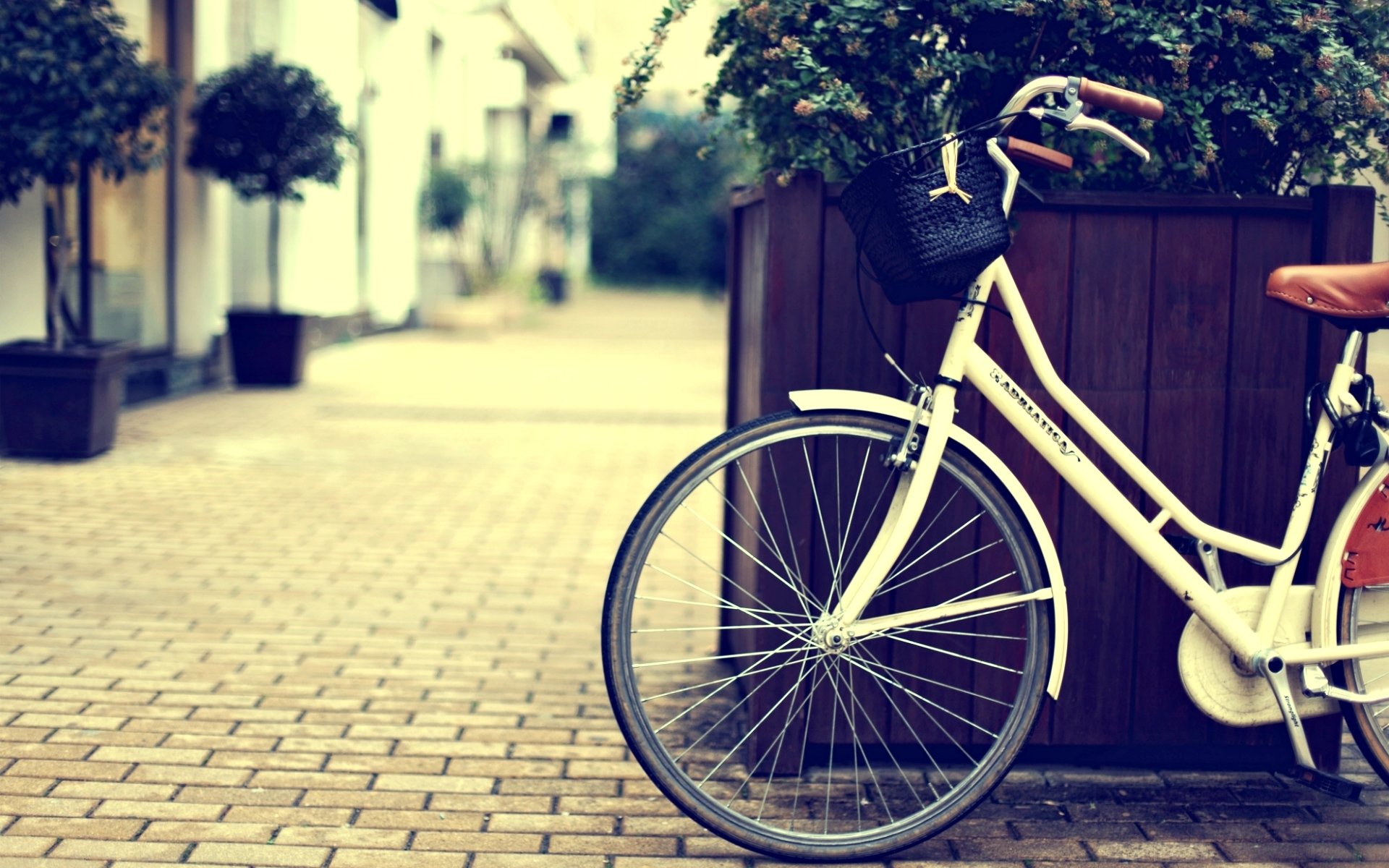 sonstiges fahrrad straße stadt korb korb rad pflanze blumen blume hintergrund tapete widescreen vollbild widescreen widescreen