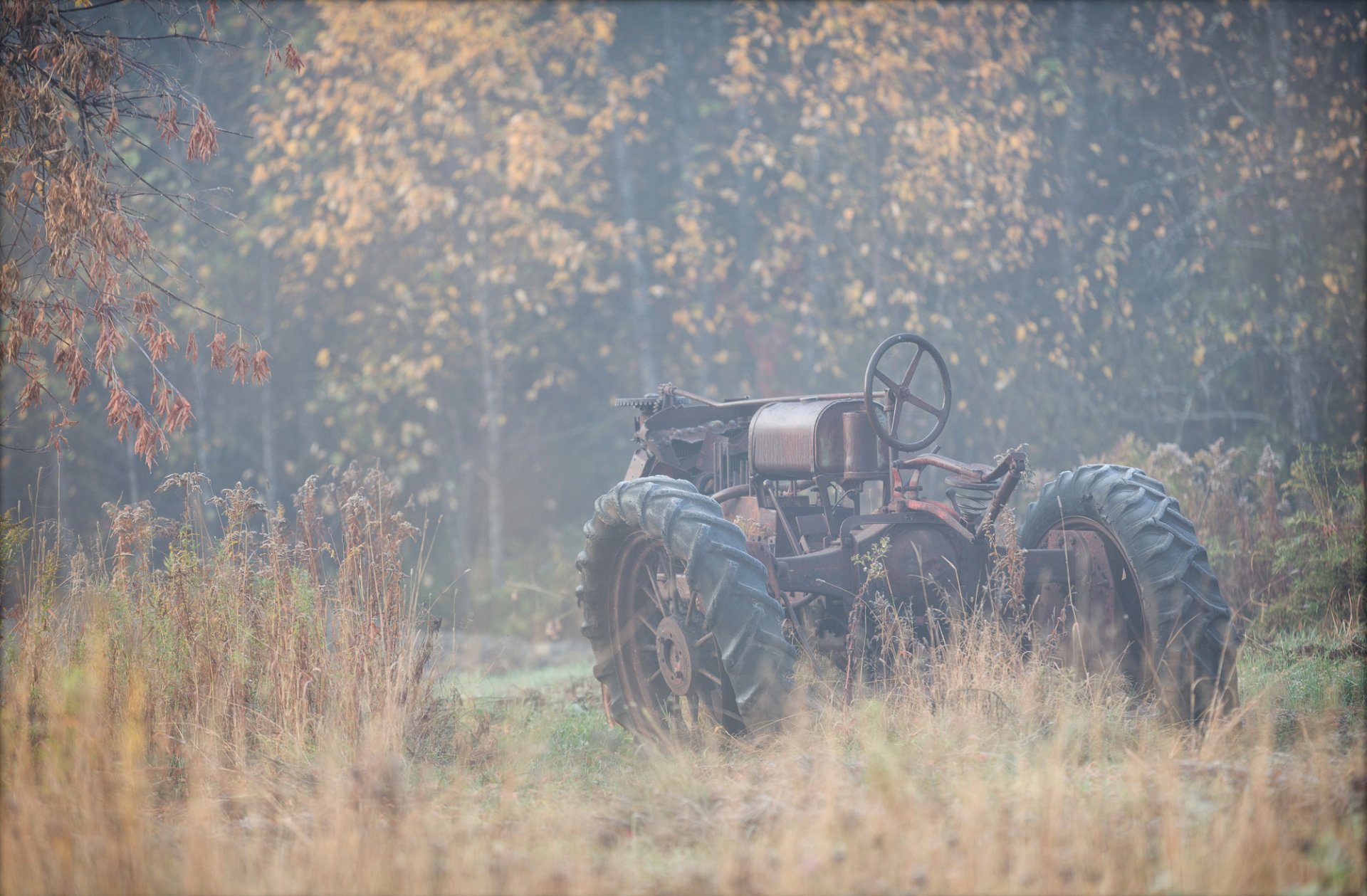 tracteur automne nature brouillard