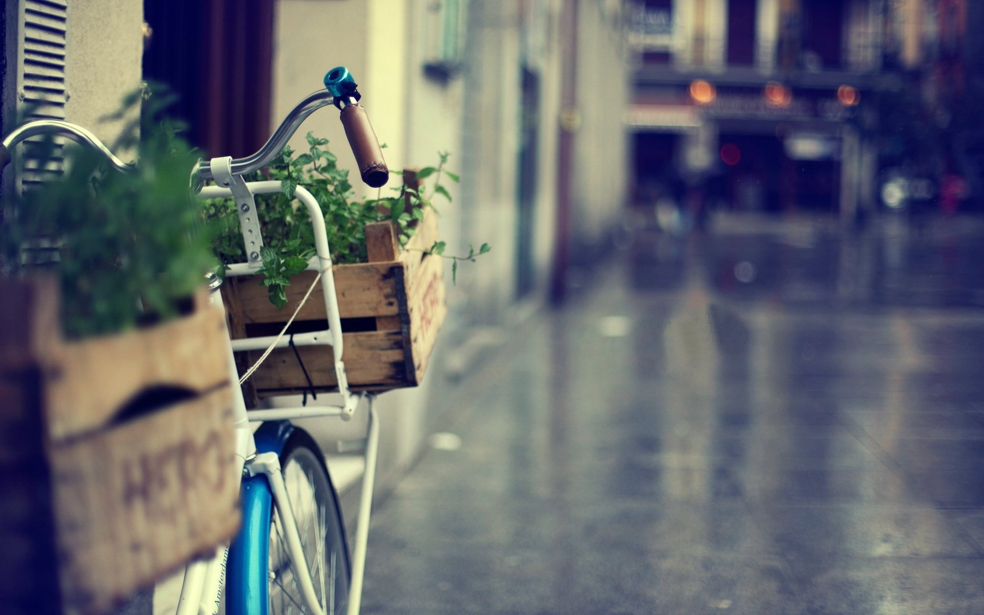 varie cestino cestino bicicletta grande fiori erba verde città strada sfocatura sfondo carta da parati widescreen schermo intero widescreen