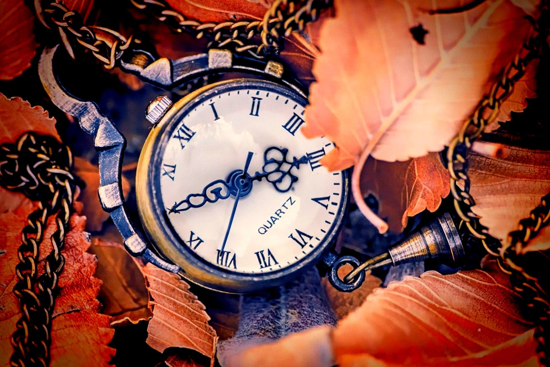 montre cadran feuilles automne cadran mains