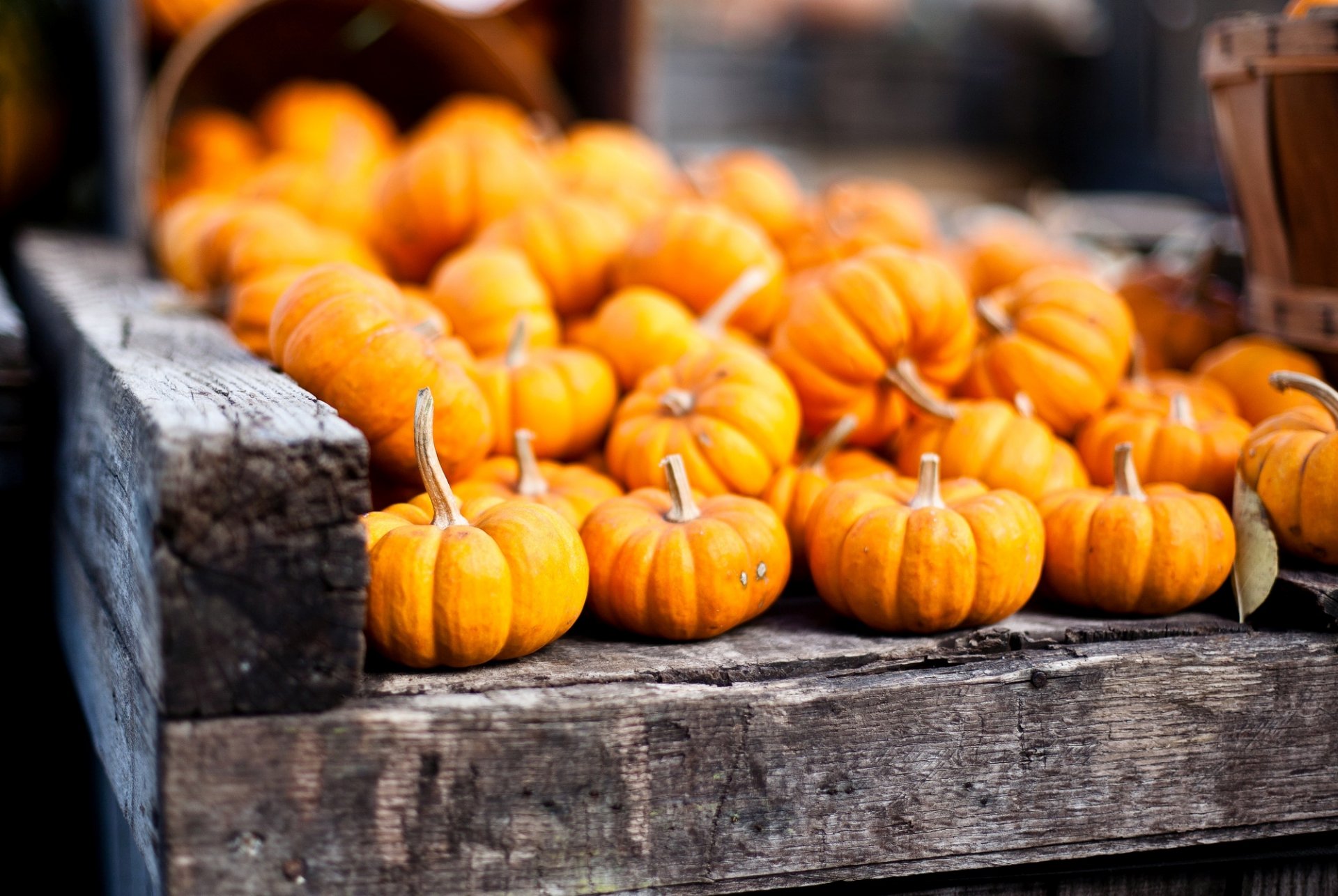 kürbisse gemüse orange herbst ernte körbe