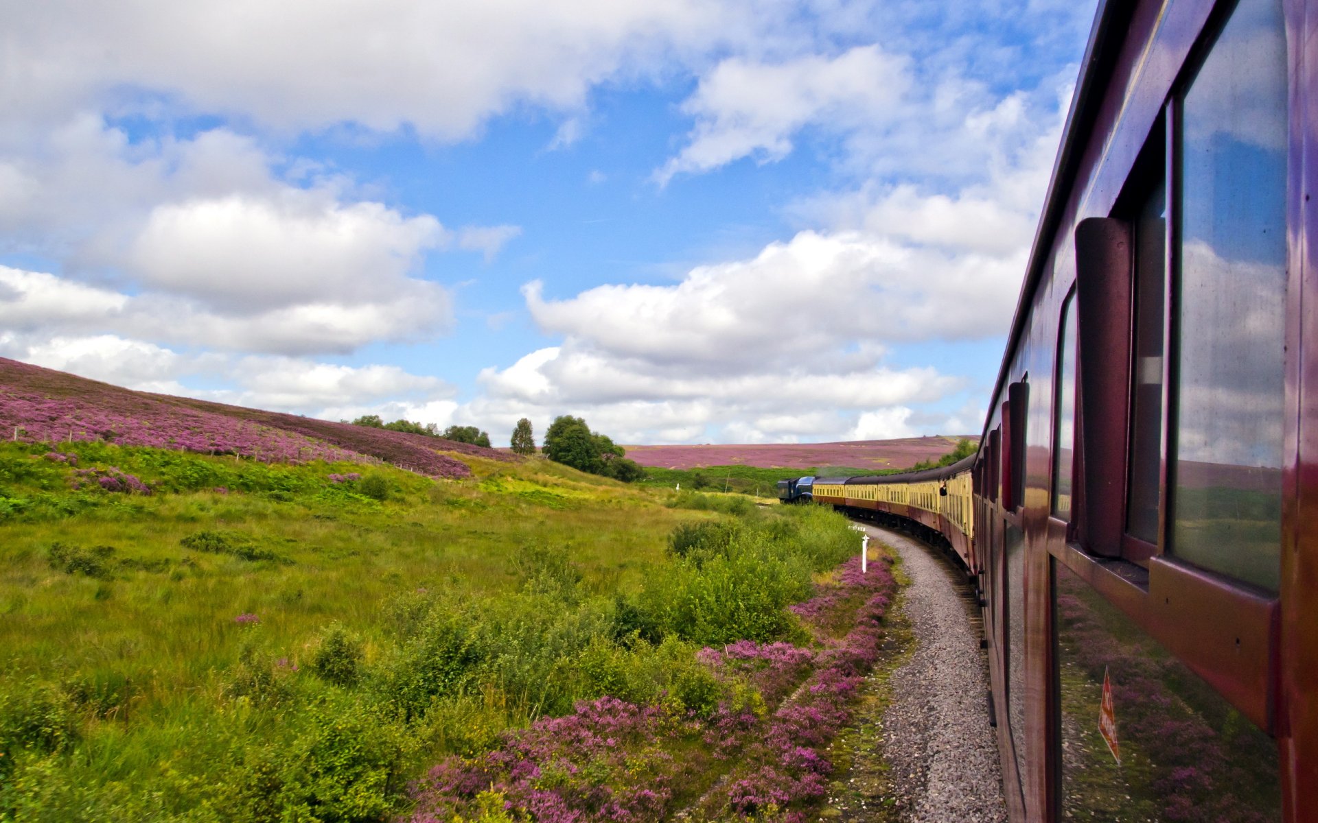 zug eisenbahn feld sommer