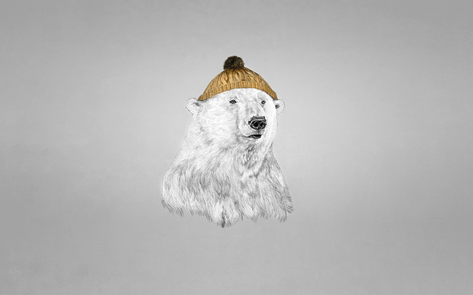 oso polar sombrero fondo oscuro oso