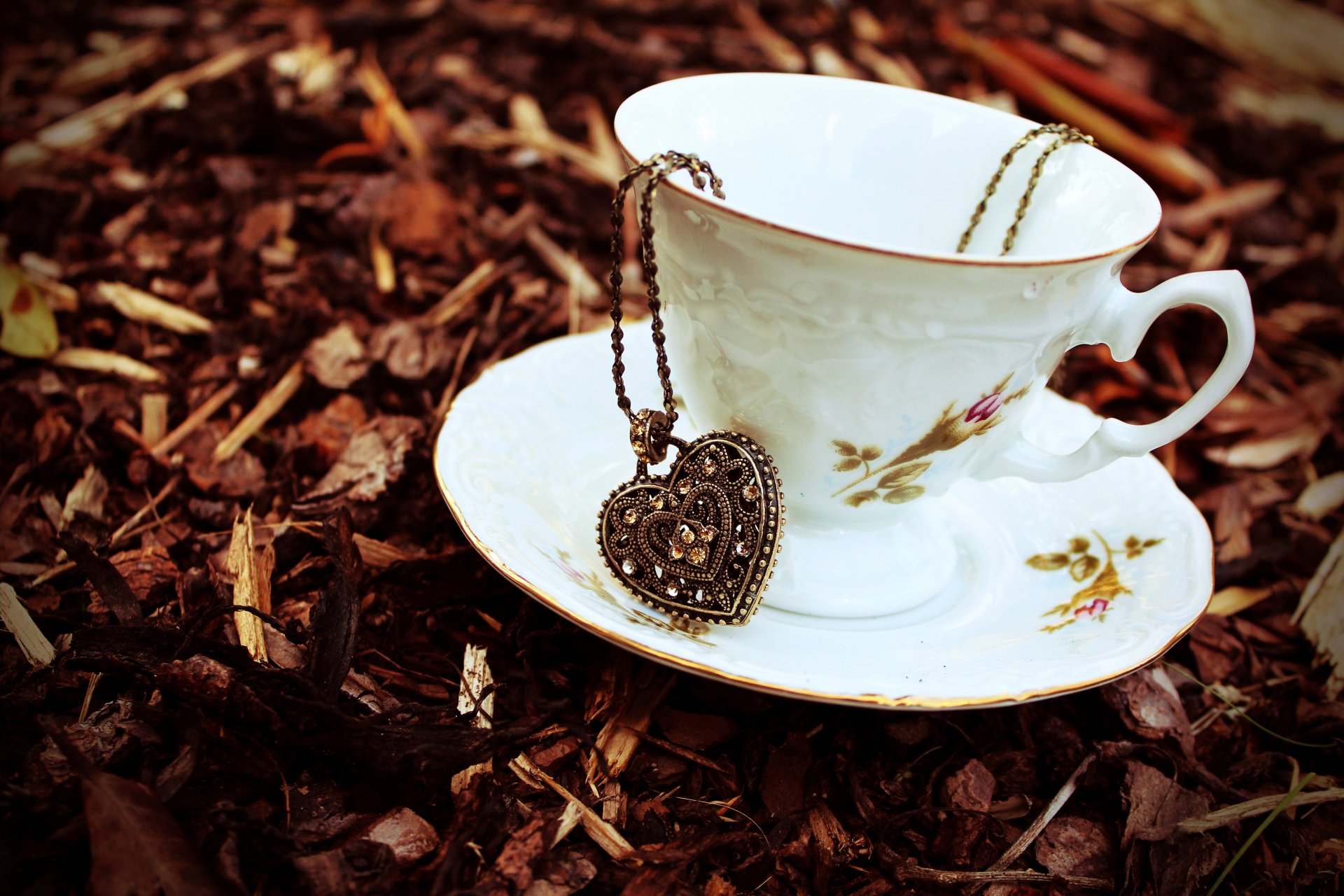 tasse soucoupe coeur pendentif chaîne pendentif pierres automne feuilles sec