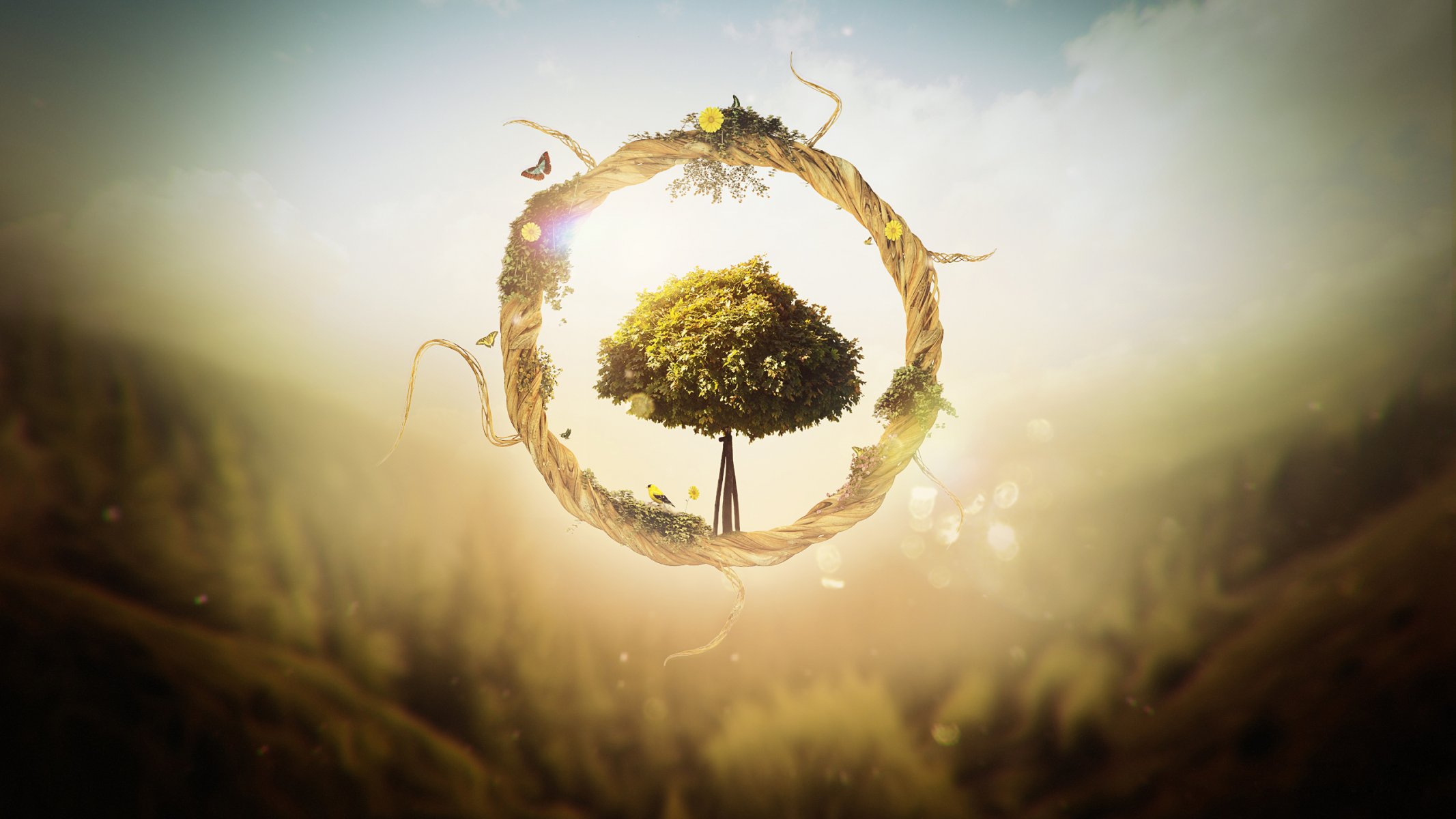 tree circle render graphic