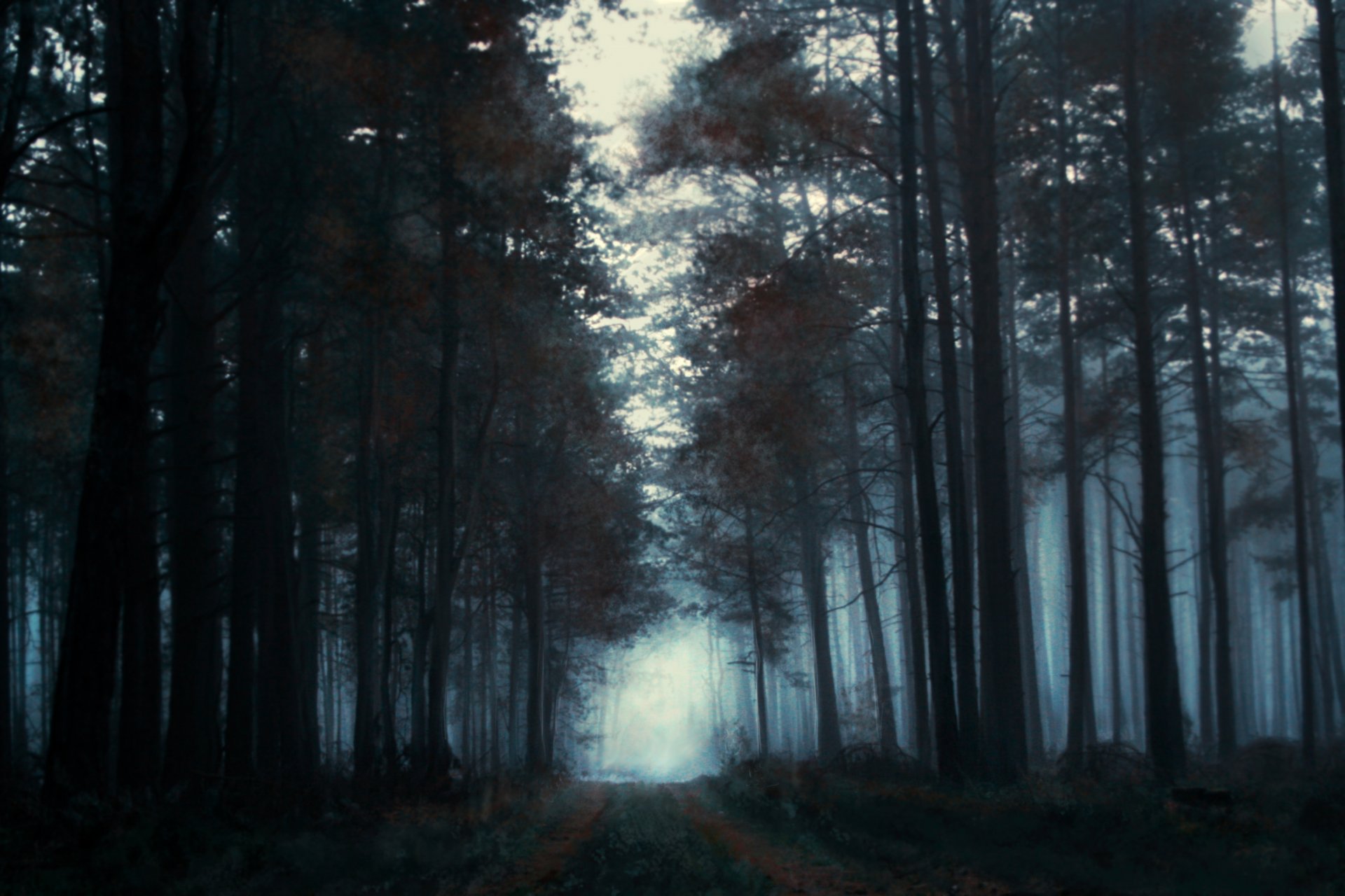 paesaggio dipinto foresta alberi nebbia mattina