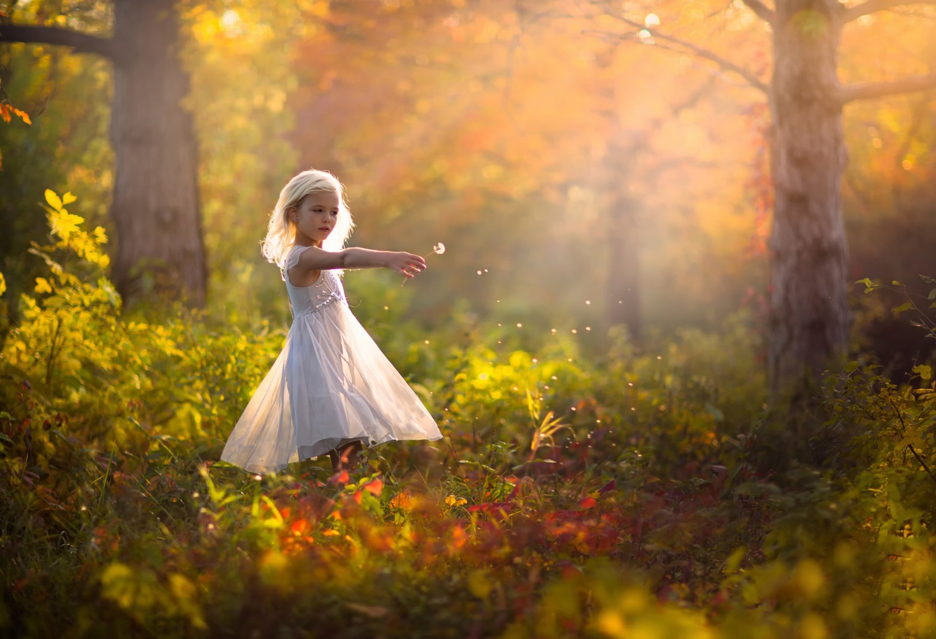 mädchen kleid herbst natur löwenzahn