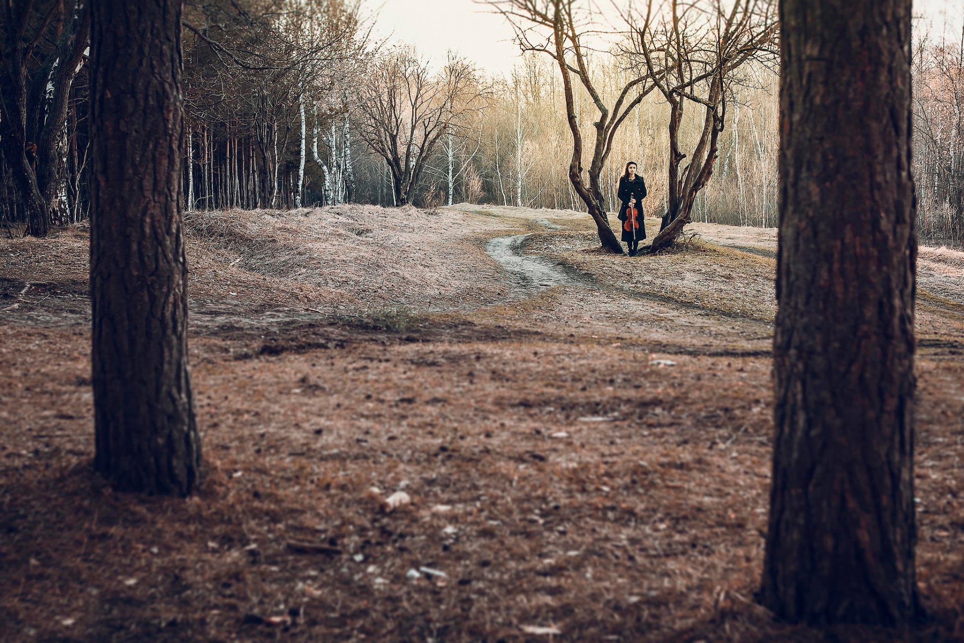 forêt fille alto solitude