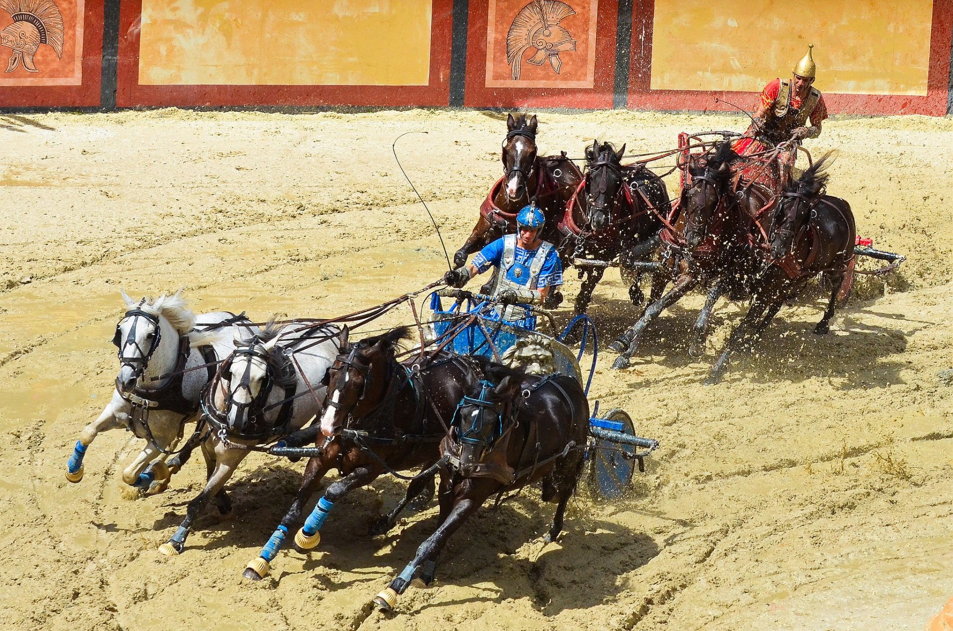 carreras caballos caballos carros arena