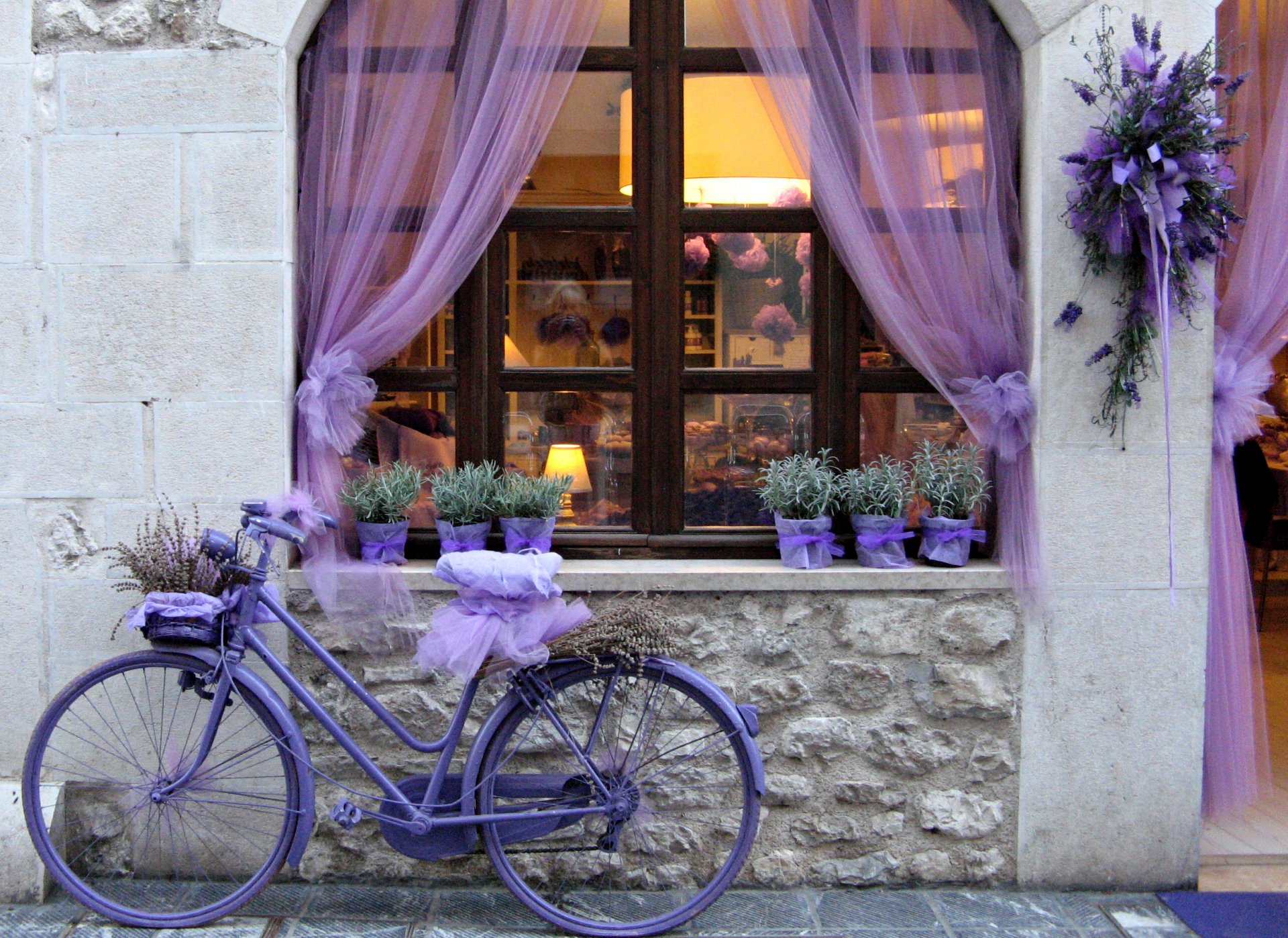 bike flower purple lavender