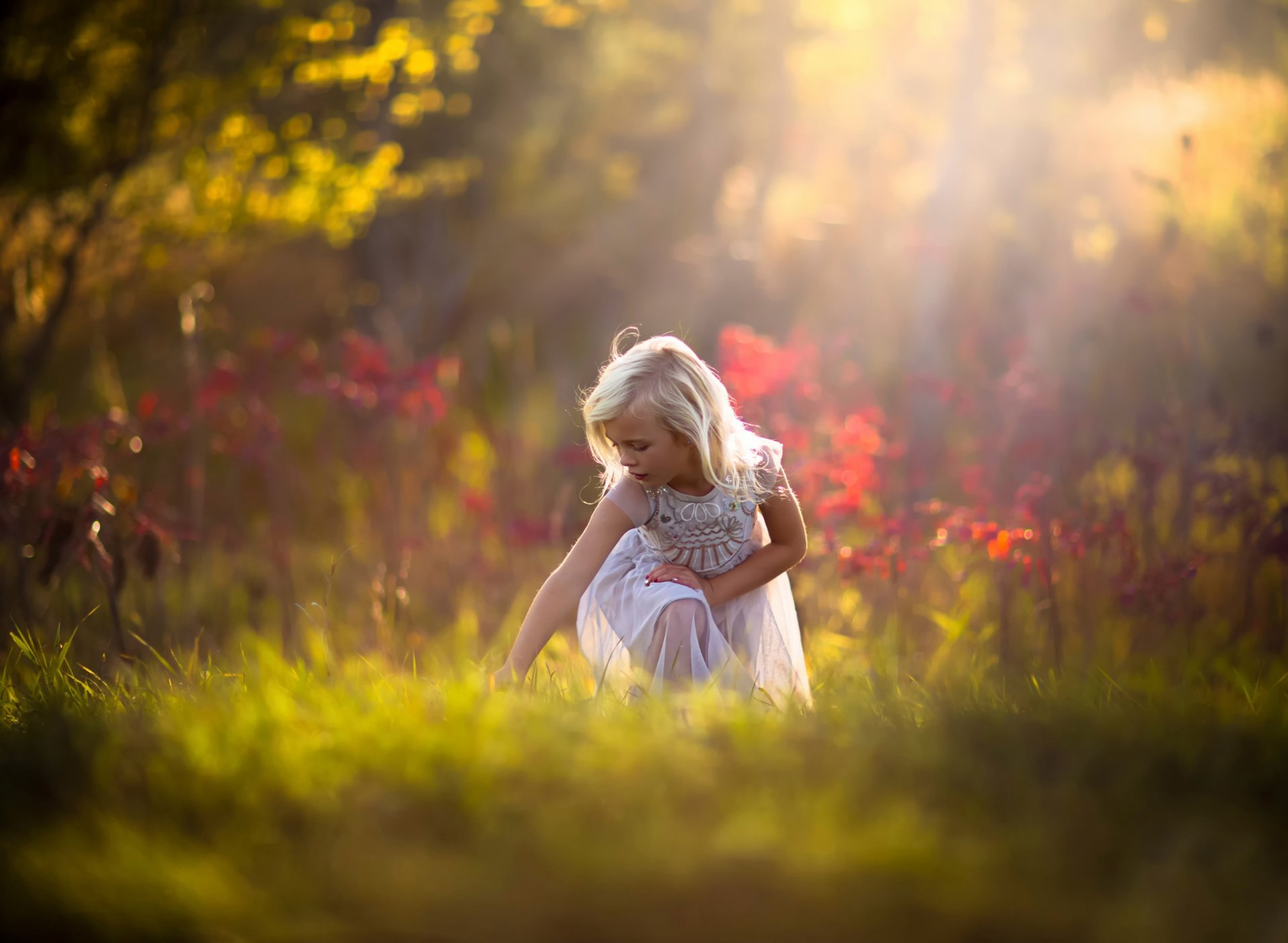 ragazza bionda foresta autunno