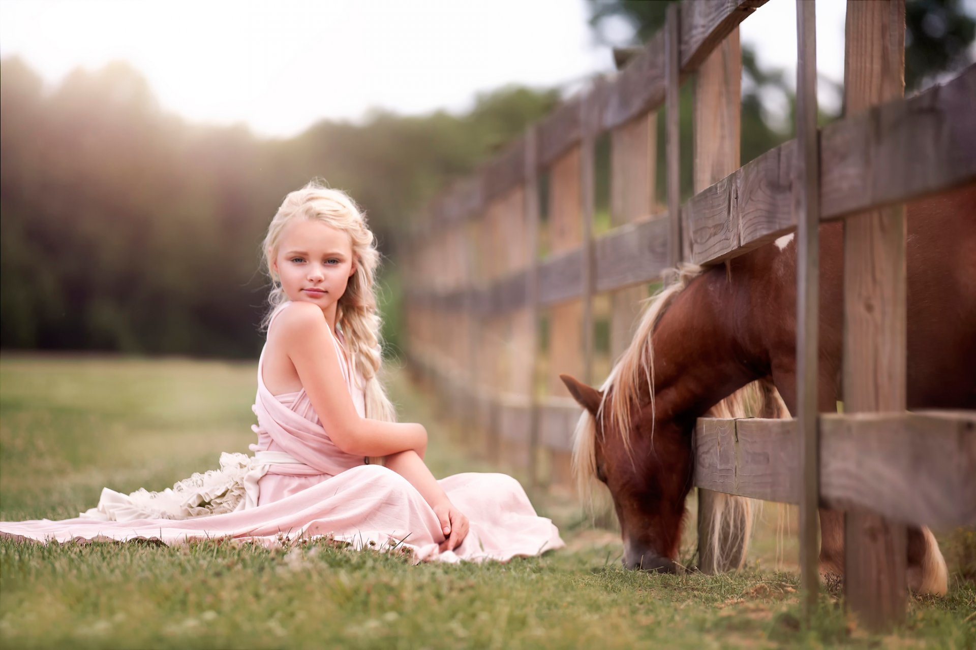 child and horse girl horse