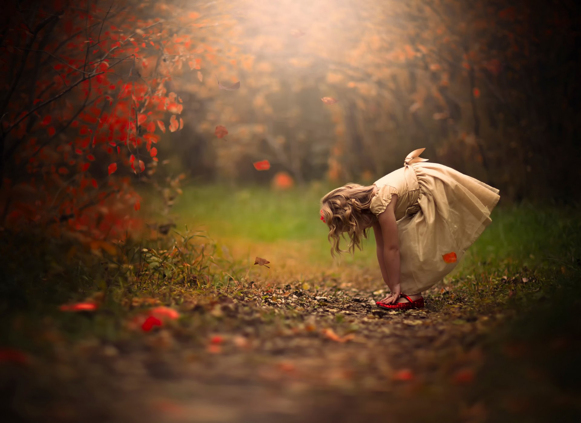 mädchen herbst.blätter kleid