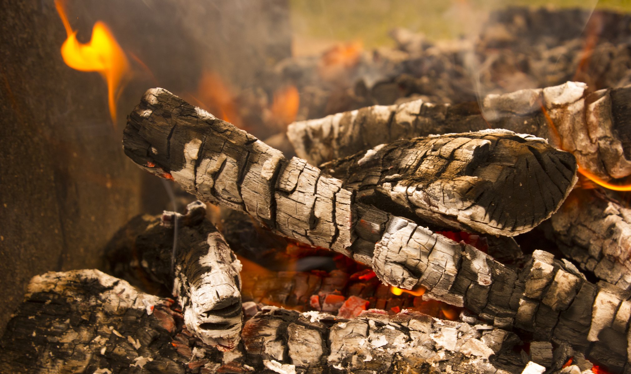 fire nature kebabs countryside firewood