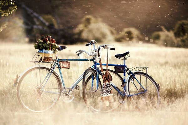 Deux vélos dans un champ avec un panier avec des fleurs