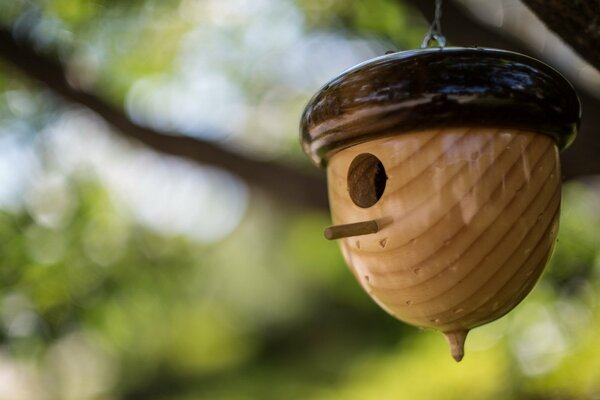 Mangeoire en bois sur fond de nature