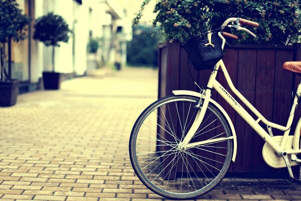 Una strada vuota. Bicicletta in piedi accanto a un letto di fiori