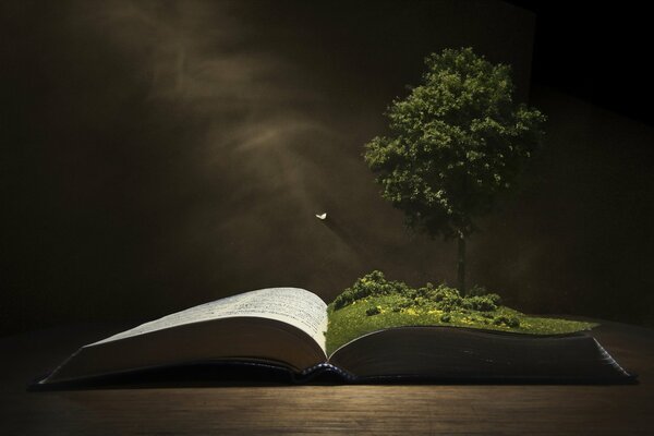 Offenes Buch auf schwarzem Hintergrund. Ein wachsender Baum auf einem grünen Blatt