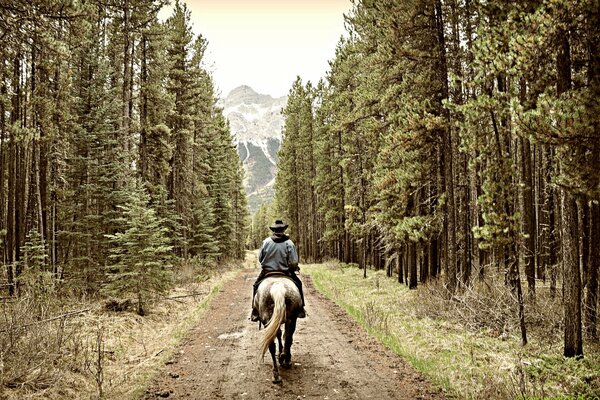 Cavaliere sulla strada cavalca in montagna attraverso la foresta