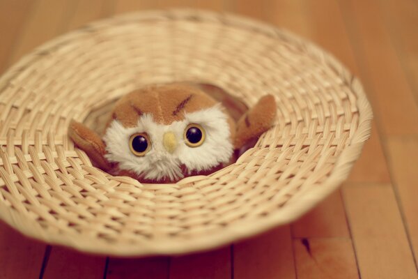 Peluche hibou avec de grands yeux