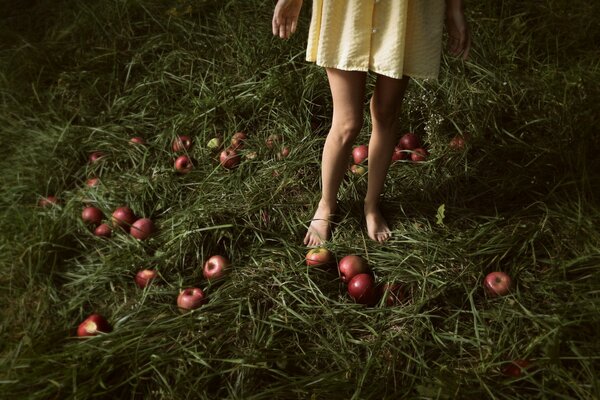 The girl is barefoot. Grass and apples underfoot