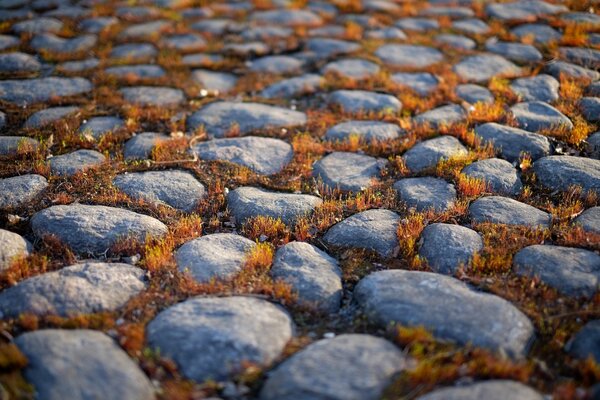 Adoquines de cama en forma de piedra