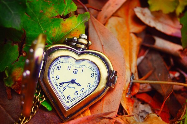 The clock face on the background of autumn leaves in the form of a heart