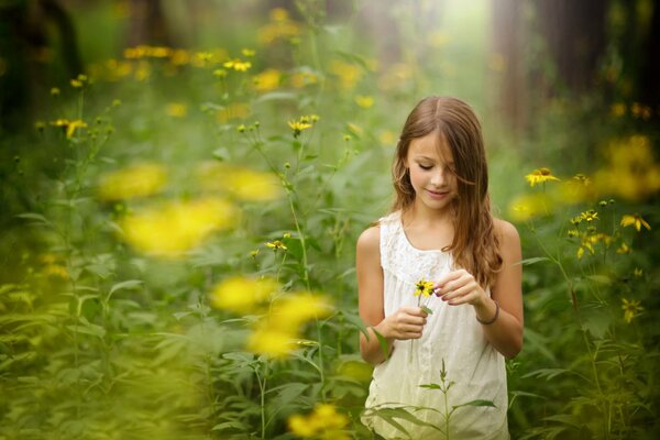 Mädchen in der Natur reißt Blumen ab