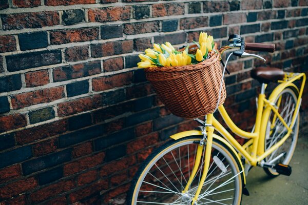 Giallo è grande con un cesto di tulipani gialli su sfondo muro di mattoni