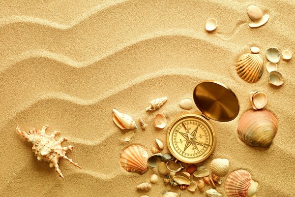 Shells with a compass on the sand