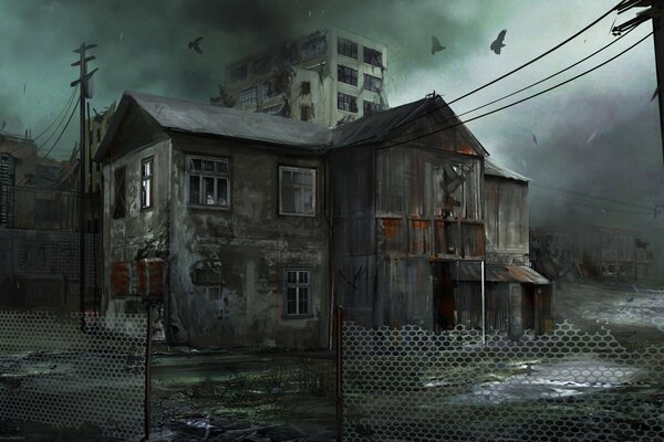 A gloomy abandoned house with birds