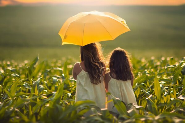 Mamma e figlia sotto l ombrello giallo nel mais